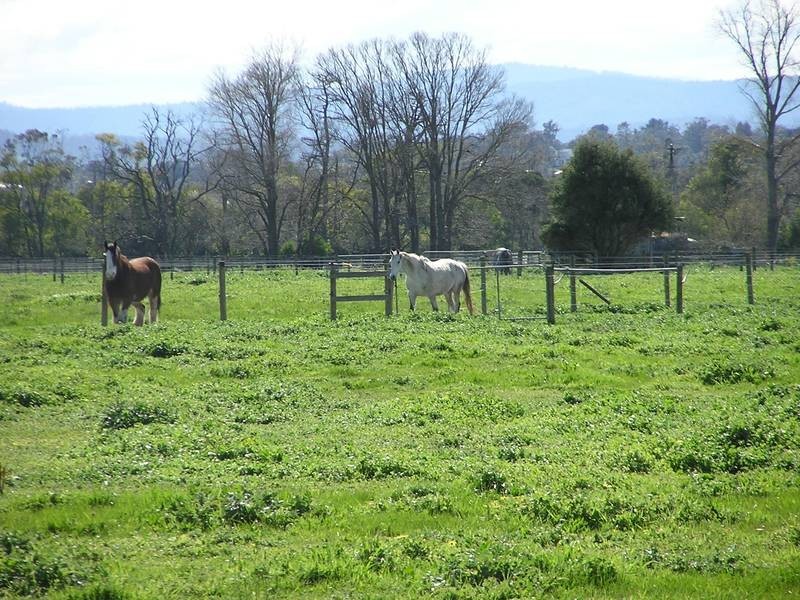 1245 Murray Road, Bunyip VIC 3815