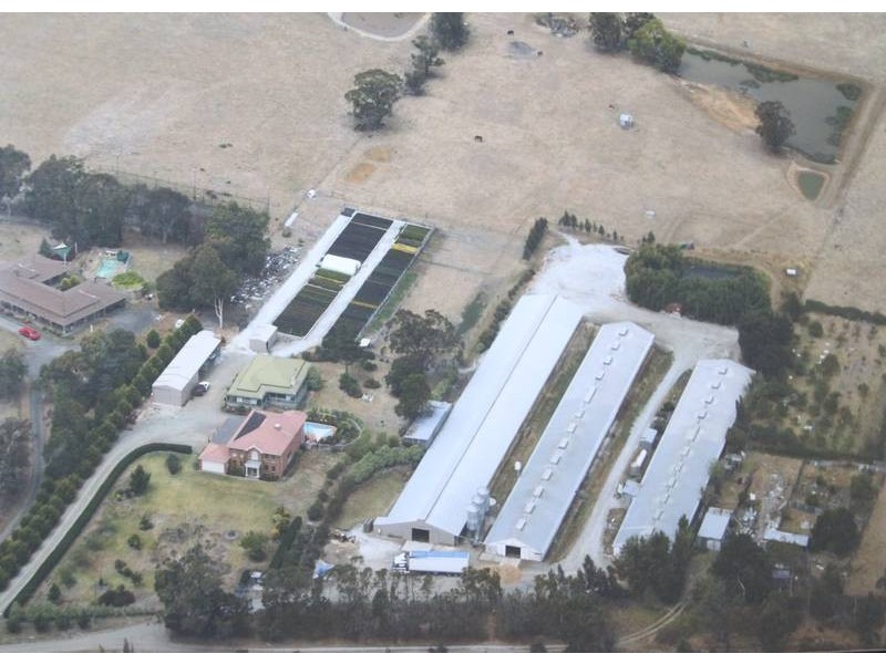 250 Middle Road, Pearcedale VIC 3912