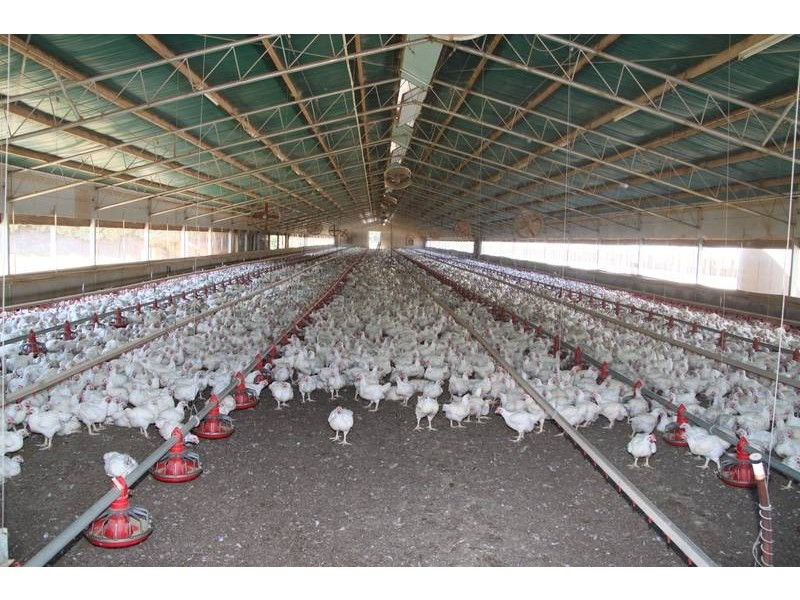 250 Middle Road, Pearcedale VIC 3912