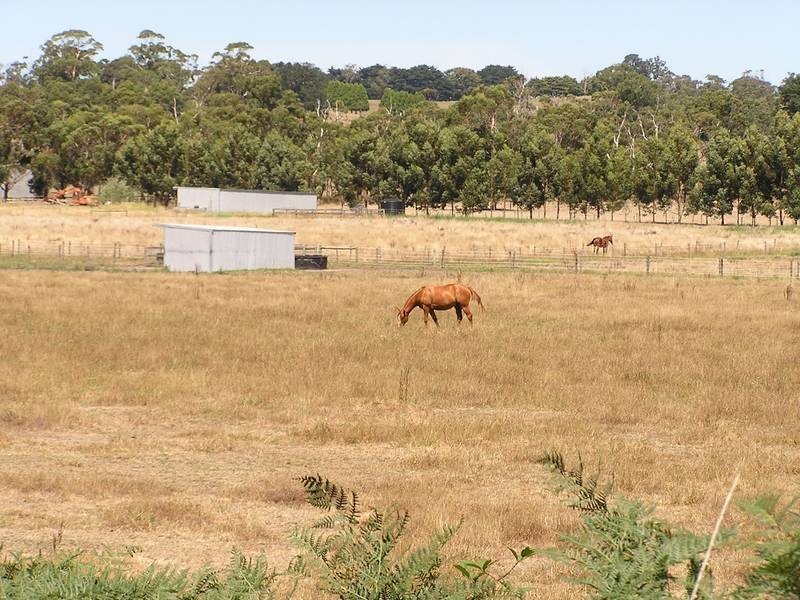 590 North Yannathan Rd, Ripplebrook VIC 3818