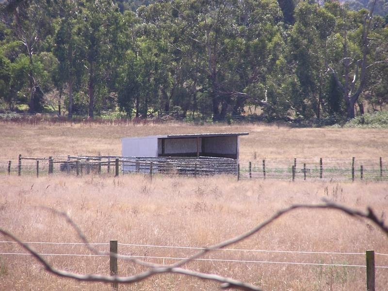 590 North Yannathan Rd, Ripplebrook VIC 3818