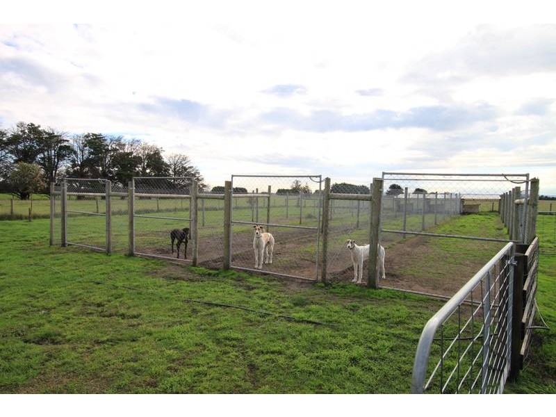 805 Manks Road, Dalmore VIC 3981