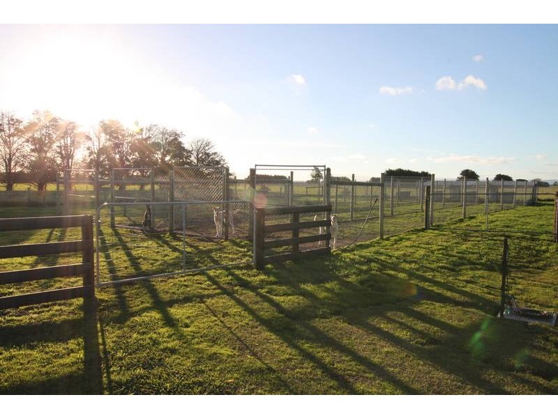 805 Manks Road, Dalmore VIC 3981