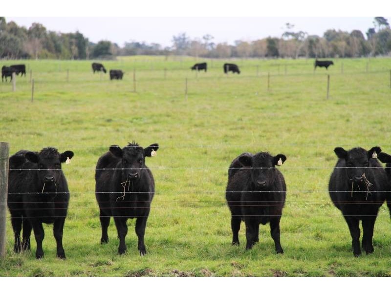 590 Boundary Drain Road, Koo Wee Rup VIC 3981