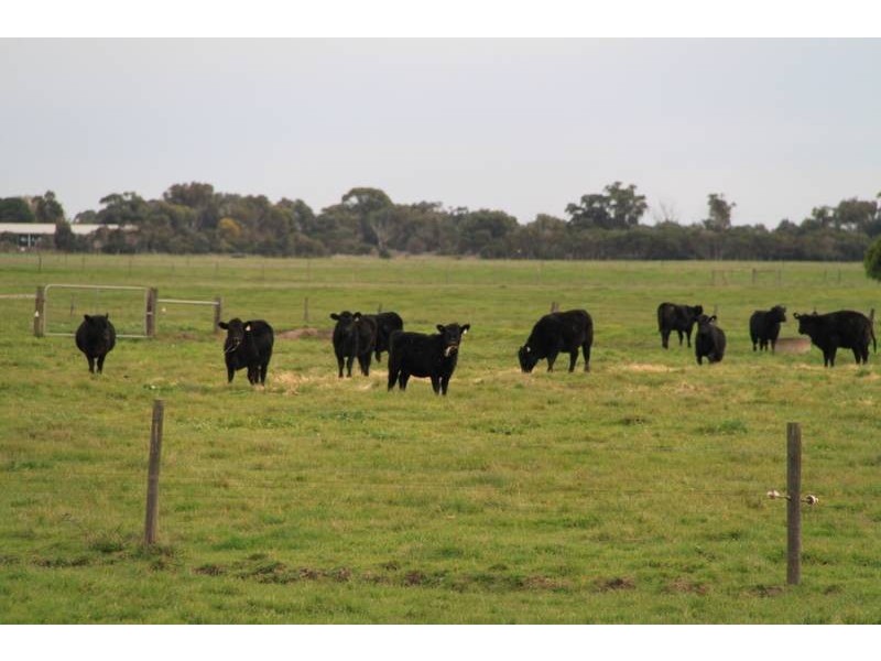 590 Boundary Drain Road, Koo Wee Rup VIC 3981