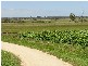 GAINSBOURUGH AVENUE, Lang Lang VIC 3984