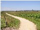 GAINSBOURUGH AVENUE, Lang Lang VIC 3984
