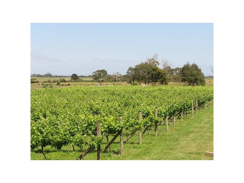 GAINSBOURUGH AVENUE, Lang Lang VIC 3984