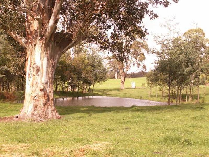 155_ Wettenhalls Road, Jeetho VIC 3945