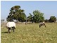 220_ Koo Wee Rup Longwarry Road, Koo Wee Rup VIC 3981