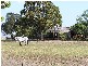 220_ Koo Wee Rup Longwarry Road, Koo Wee Rup VIC 3981