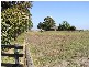 220_ Koo Wee Rup Longwarry Road, Koo Wee Rup VIC 3981