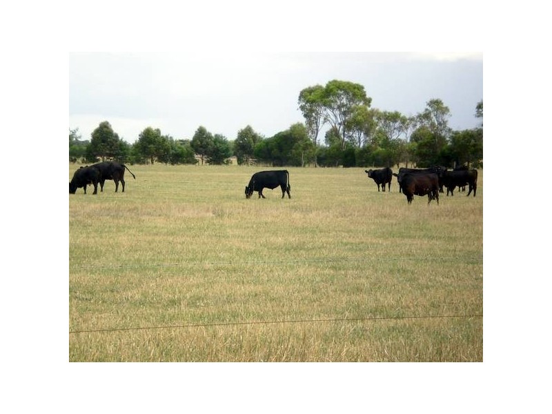 95_ Adams Road, Cardinia VIC 3978