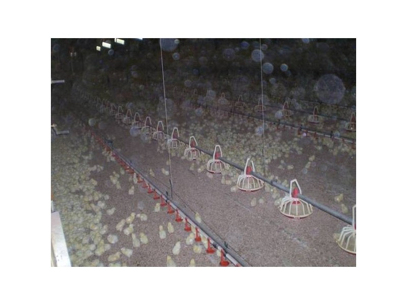 380 Koo Wee Rup, Koo Wee Rup VIC 3981