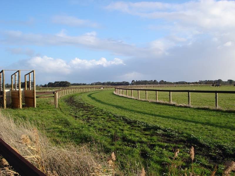 125 Scanlons Drain Road, Bayles VIC 3981