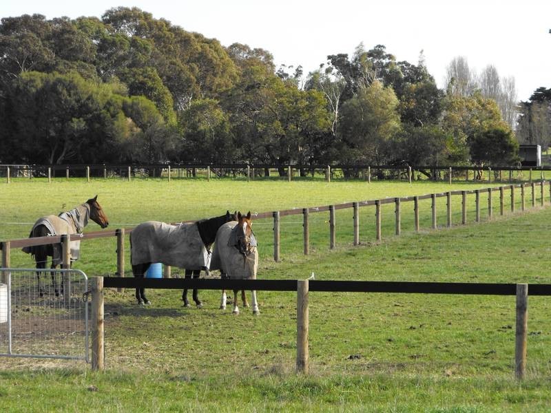 125 Scanlons Drain Road, Bayles VIC 3981