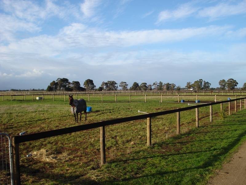 125 Scanlons Drain Road, Bayles VIC 3981