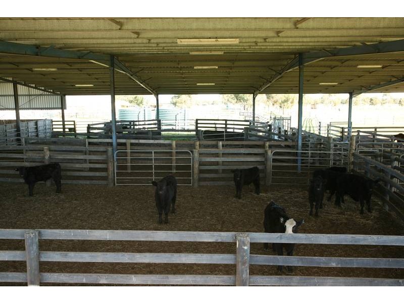 235_ Koo Wee Rup Longwarry road, Koo Wee Rup VIC 3981