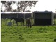 175 School Road, Bayles VIC 3981