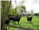 245 Hall Road, Yannathan VIC 3981
