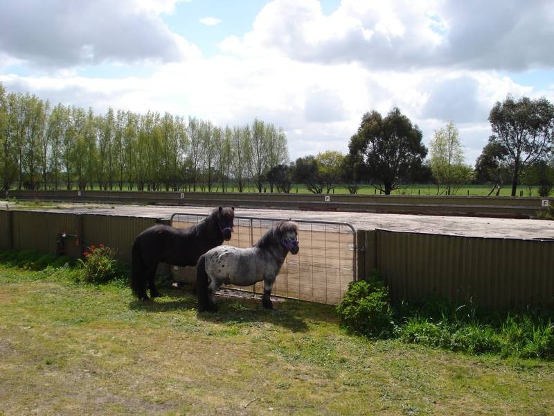 245 Hall Road, Yannathan VIC 3981