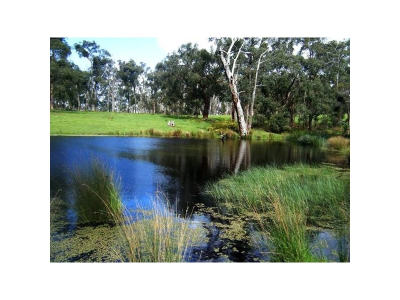 120 Murphys Road, Lang Lang East VIC 3984