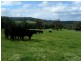 120 Murphys Road, Lang Lang East VIC 3984