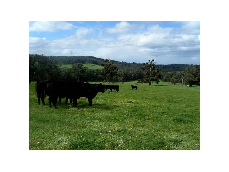 120 Murphys Road, Lang Lang East VIC 3984
