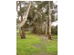 120 Murphys Road, Lang Lang East VIC 3984
