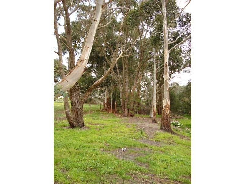 120 Murphys Road, Lang Lang East VIC 3984