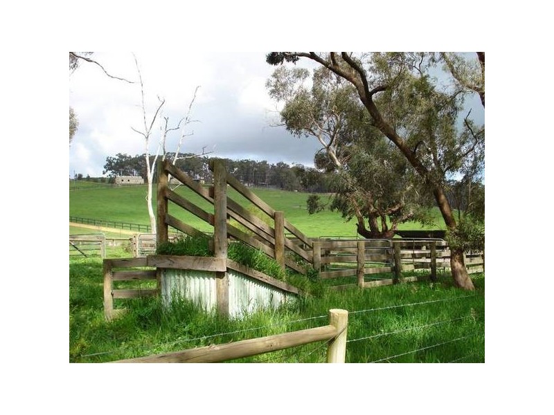 120 Murphys Road, Lang Lang East VIC 3984