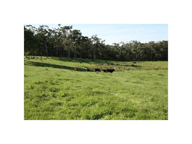 120 Murphys Road, Lang Lang East VIC 3984