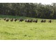 120 Murphys Road, Lang Lang East VIC 3984
