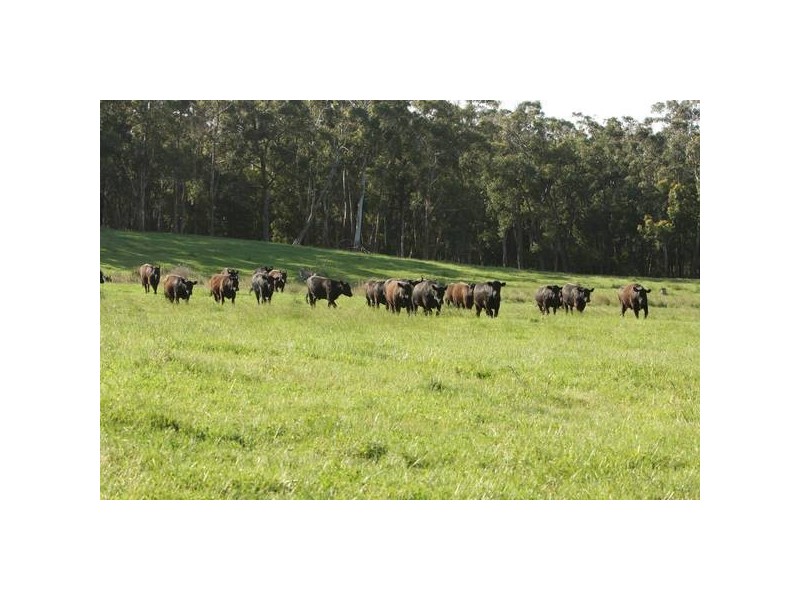 120 Murphys Road, Lang Lang East VIC 3984