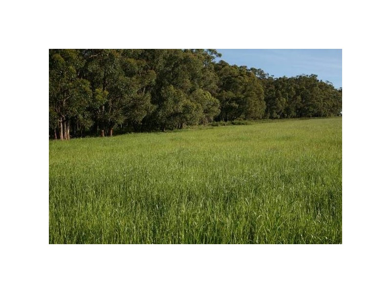 120 Murphys Road, Lang Lang East VIC 3984