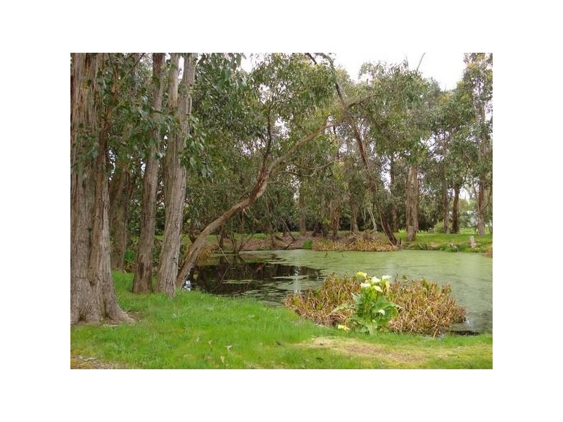 37 Patman Drive, Nyora VIC 3987