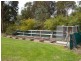 37 Patman Drive, Nyora VIC 3987
