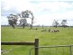 683 Main Street, Bayles VIC 3981