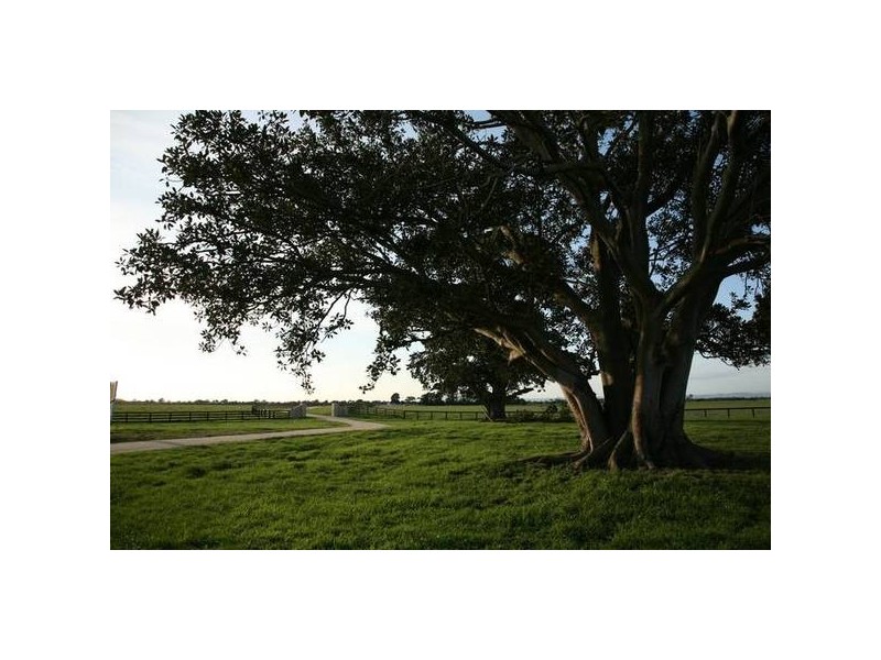 1 KooWeeRup-Longwarry Road, Koo Wee Rup VIC 3981