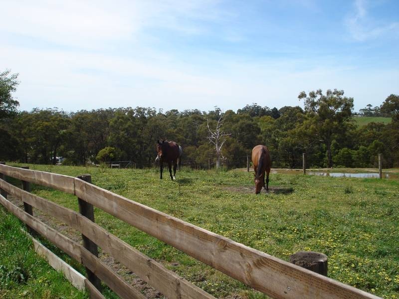 75 Restlee Drive, Nyora VIC 3987