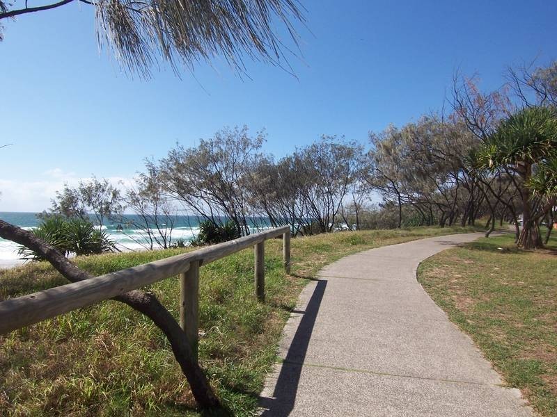 16 Undara Ave, Buddina QLD 4575