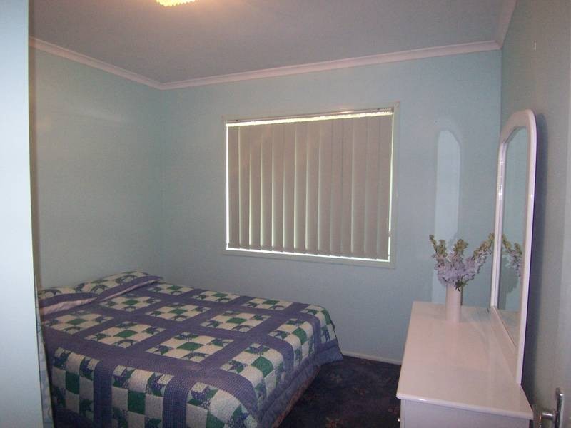 16 Undara Ave, Buddina QLD 4575