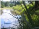 238 Diddillibah Road, Woombye QLD 4559