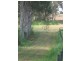 238 Diddillibah Road, Woombye QLD 4559