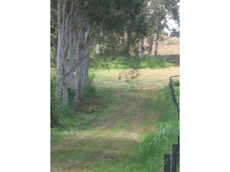 238 Diddillibah Road, Woombye QLD 4559