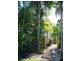 Mooloolaba QLD 4557