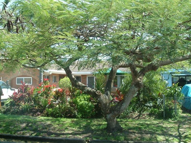 44 Smith Street, Mooloolaba QLD 4557