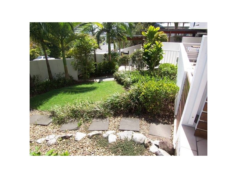 Alexandra Headland QLD 4572