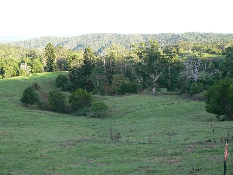 Maleny QLD 4552