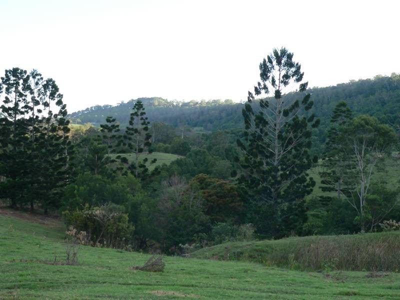 Maleny QLD 4552